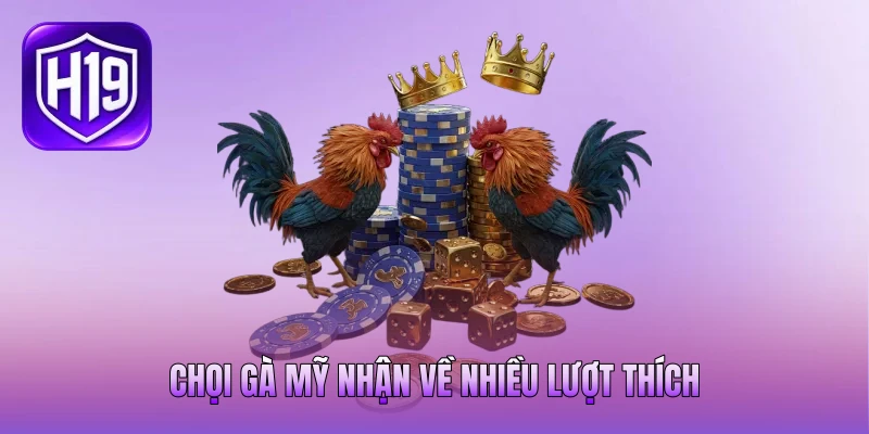 Chọi gà Mỹ nhận về nhiều lượt thích Chọi gà Mỹ nhận về nhiều lượt thích