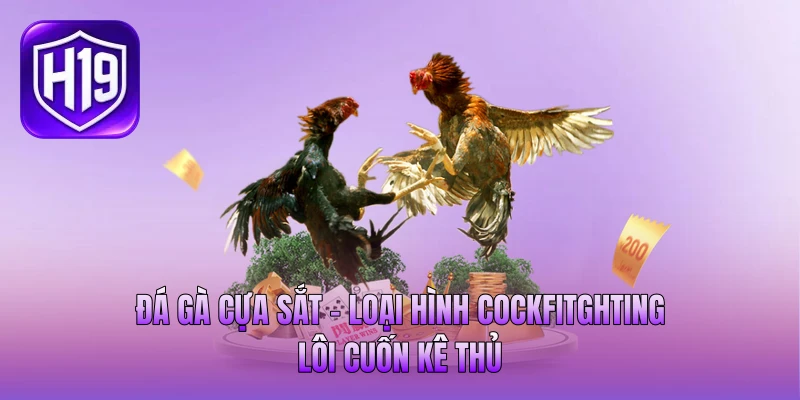 Đá Gà Cựa Sắt - Loại Hình Cockfitghting Lôi Cuốn Kê Thủ