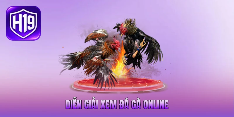 Diễn giải xem đá gà online Diễn giải xem đá gà online