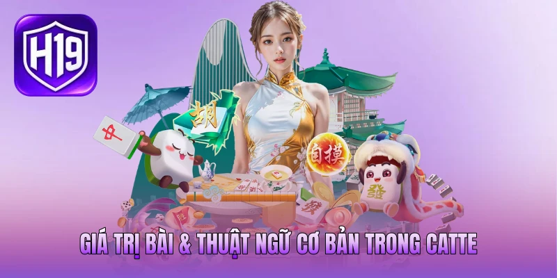 Giá trị bài & thuật ngữ cơ bản trong Catte Giá trị bài & thuật ngữ cơ bản trong Catte