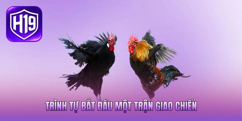 Trình tự bắt đầu một trận giao chiến Trình tự bắt đầu một trận giao chiến