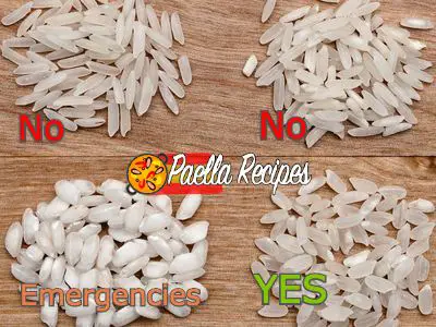 Types of rice for paella
